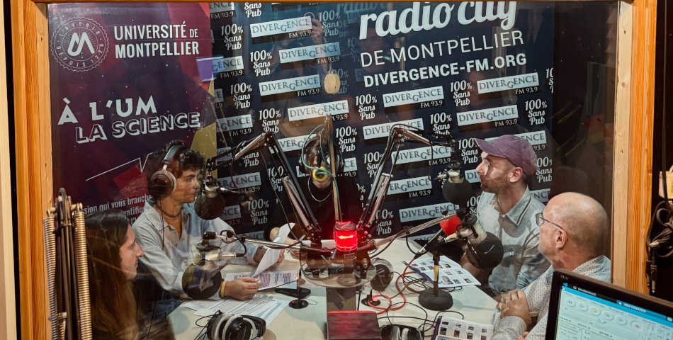 L’Autruche, la nouvelle émission des étudiants de master sur Divergence FM